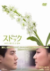 ?????????????????-DVD-BOX??10??T??? [DVD]