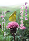 ??????? K?Z ??㲎?⌫?? [DVD]