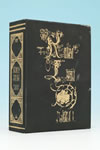 WOLF'S RAIN DVD-BOX????????M????c????T??? [DVD]