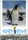 ??????????<? with ????????????? vol.1 [DVD]