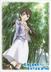 true tears vol.5 [DVD]