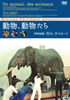 ???????????'94 [DVD]