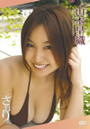 P???[???????? [DVD]