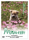 ?????????????2008X?2??31??????????M????? [DVD]