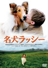 ?????????'05???????[?????2008X?2??31??????????M????? [DVD]