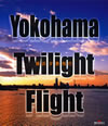 Yokohama Twilight Flight 㦅?C???? [Blu-ray]