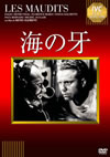 㳌???('46 [DVD]