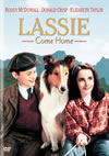 ?????????MN('43P???2009X?0??30??????????M????? [DVD]