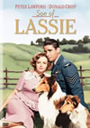 ?????????????????('45P???2009X?0??30??????????M????? [DVD]
