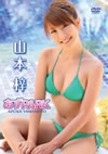 P??[????PARK [DVD]