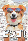 ?????('91P? [DVD]