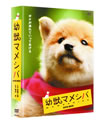 X?c???<???BOX??4??T??? [DVD]