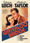 ????('40P???2010X???29??????????M????? [DVD]