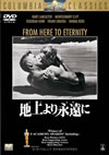 ??????㮌????'53P? [DVD]