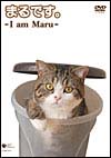 �ͥåȤ���͵��Υ����ɥ�ǭ���Ȥޤ�ɤ�DVD����꡼��
