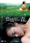 ??????M ????>M [DVD]