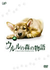 ????M??? 䯅????????????i??M?????T??? [DVD]