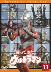 W?c????????????? Vol.11 [DVD]