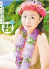 㮊䄷????SWINUTION [DVD]