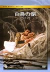 ????????????o????c???????????D???? [DVD]