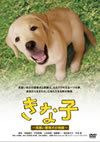 ???????^???䫃??????? [DVD]