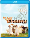 ????G???'93P? [Blu-ray]