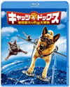 ??c????[??????? ?????C?????C??('10P? [Blu-ray]