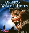 ????<????'81P? [Blu-ray]