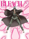 BLEACH ???????????⸁? 10 [DVD]