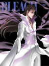 BLEACH ???????????⸁? 11 [DVD]