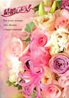 T?H???????[???Let's Marry?? DVD-BOX1??5??T??? [DVD]