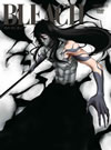 BLEACH ???????????⸁? 12 [DVD]