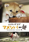 ?<???? ??? ???<????? [DVD]