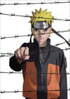?????NARUTO-?????- ???????????????M?????i??M????? [DVD]