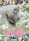 ???????????????c????H???????????? ????????????????c?????????? [DVD]