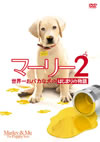 ?????? ?????????????????????('11P?[??????????? ?????????????????????????? ??G???[??????????i??M?????T??? [DVD]