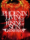 GALNERYUS[?OENIX LIVING IN THE RISING SUN??2??T??? [DVD]