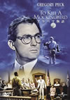 ????????('62P? [DVD]