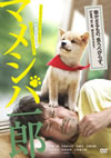 ????? ???<????? [DVD]