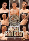 ⽇?? 2011 BEST [DVD]