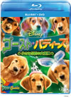 ???????????c?? O??????ゥ??? ???????DVD???????2??T??? [Blu-ray]