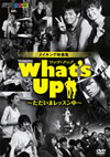 What's Up[????????????[???????????????????2??T??? [DVD]