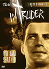⼋???('62P? [DVD]