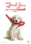 ????? ?????????????????????????? ??G('08P? [DVD]
