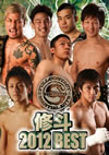 ⽇?? 2012 BEST [DVD]