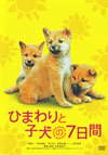 ????????????? [DVD]