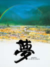 C [DVD]