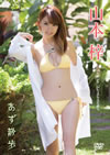 P??[?????fH [DVD]