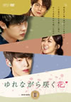 ???????????? DVD-BOX2??4??T??? [DVD]