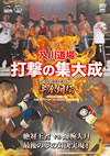 ??V??ՋH[??V???? ???????C?? SHOOTaisei 12??3??V??ՋH[????????? M???? [DVD]